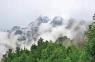 [旅游市場(chǎng)運(yùn)營(yíng)]三門(mén)峽市開(kāi)工建設(shè)全省海拔最高的客運(yùn)索道