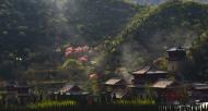 河南旅游文化：青龍山慈云寺第四屆桃花祈福文化節(jié)即將盛大開幕！