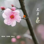 遍賞花花世界，不用東奔西走，來這一個(gè)城市就夠了！