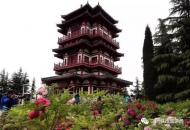 河南旅游策劃：真火爆！15萬人涌進三門峽天鵝湖濕地公園牡丹園