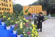 河南旅游市場(chǎng)運(yùn)營(yíng)：”開封“千菊進(jìn)萬(wàn)家”活動(dòng)要開始了，今年又有哪些新內(nèi)容？